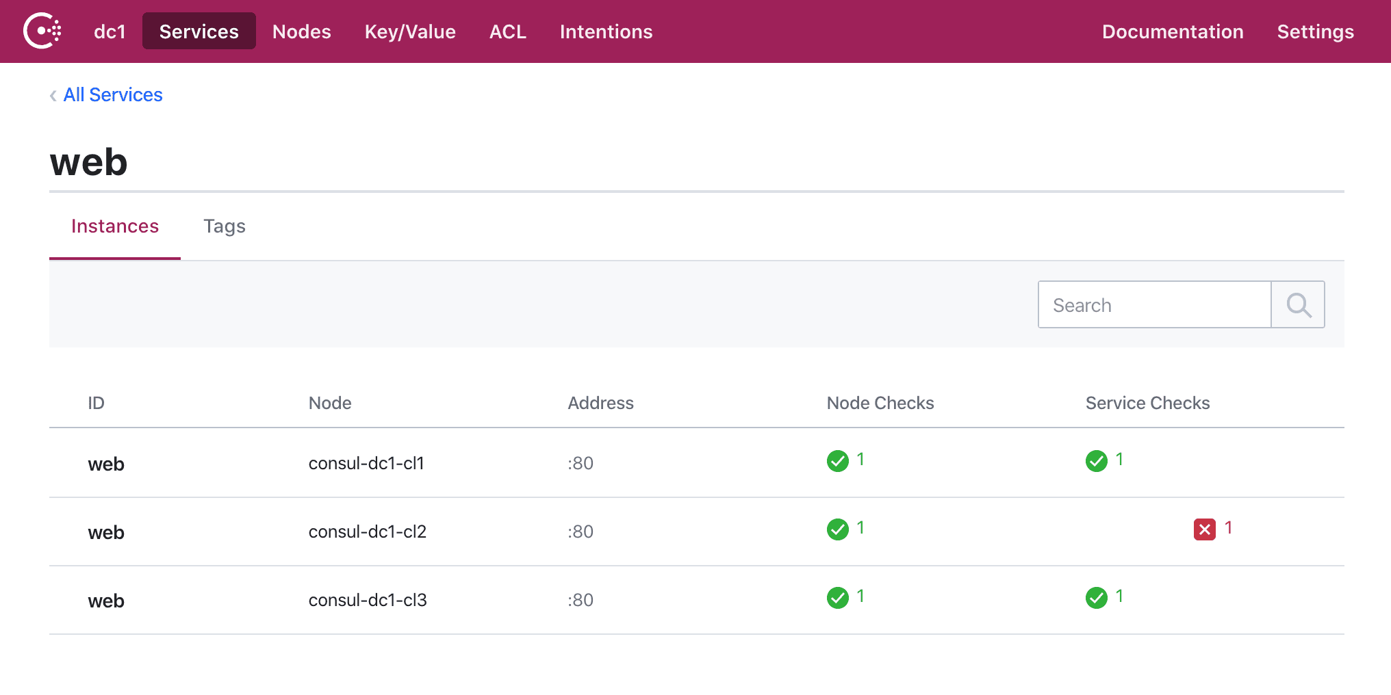 Consul UI displays one unhealthy web service